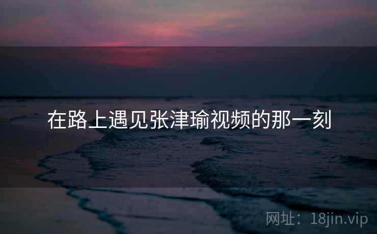 在路上遇见张津瑜视频的那一刻